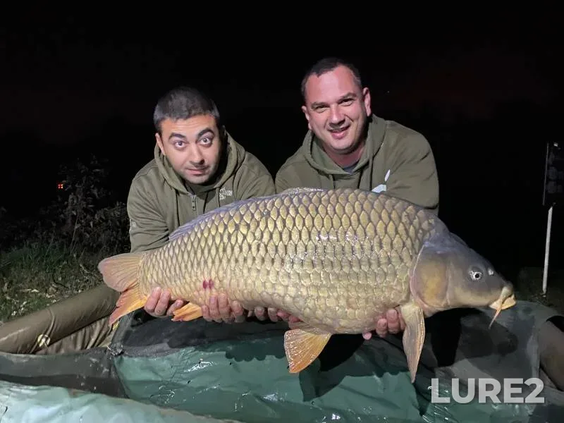 Carp — Kochety, Oct 15, 2020