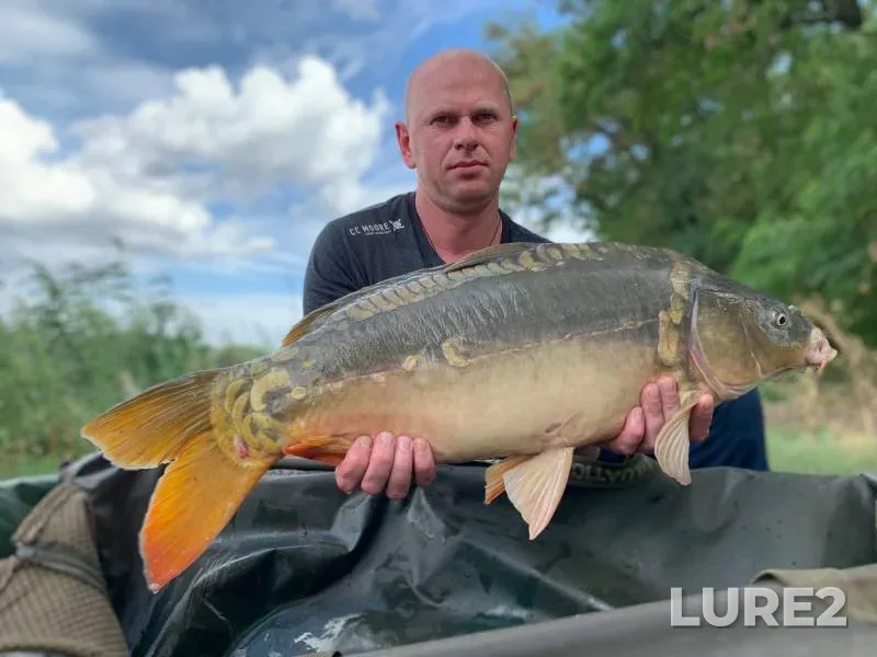 Carp — Kochety, Aug 31, 2020