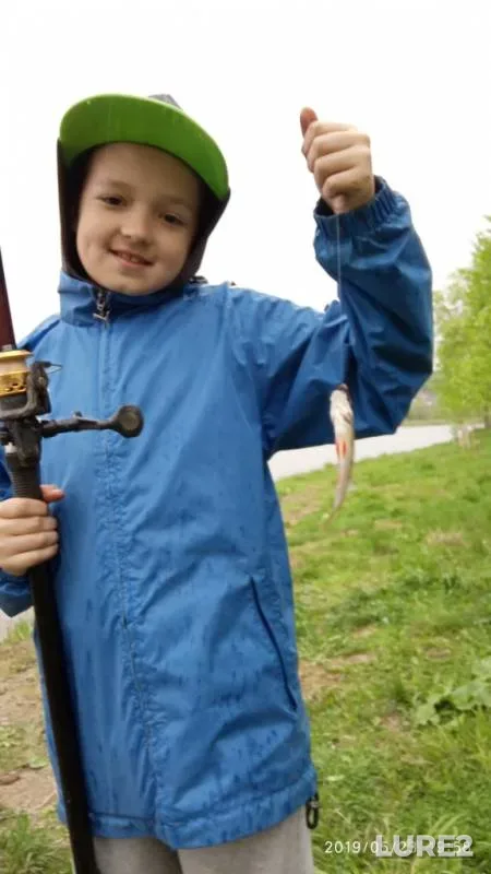 Tench — Bolshaya Travyanka, May 23, 2019