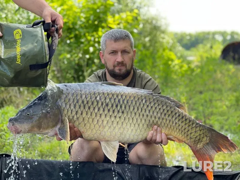 Carp — Kochety, Jun 15, 2021
