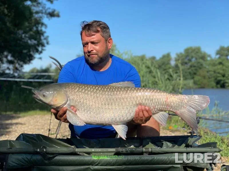 Carp — Kochety, Jul 12, 2021