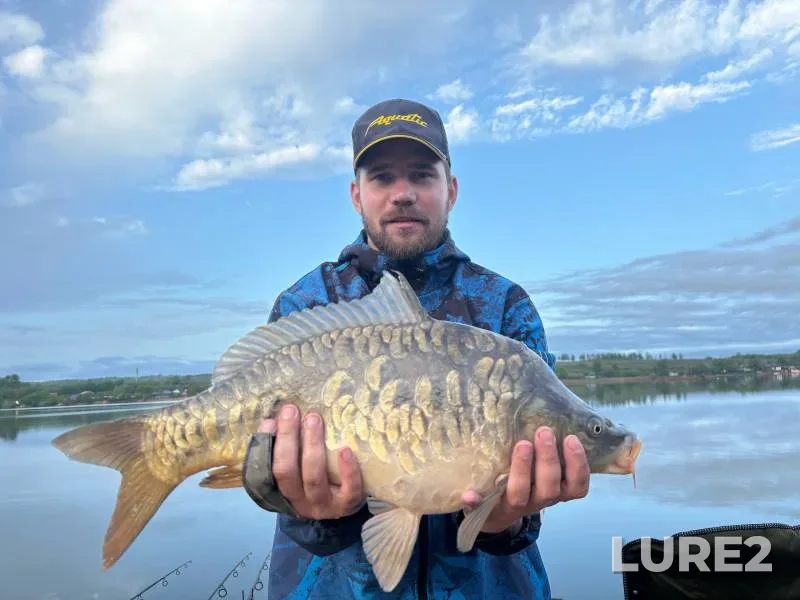 Carp — Brezhnevo, Apr 27, 2024