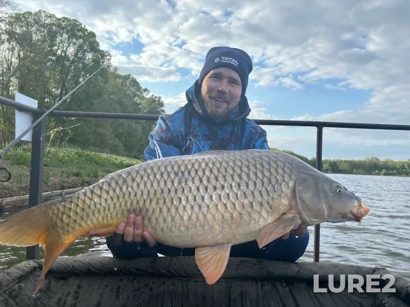 Carp, Crucian carp — Bolshaya Kuritsa, May 17, 2024