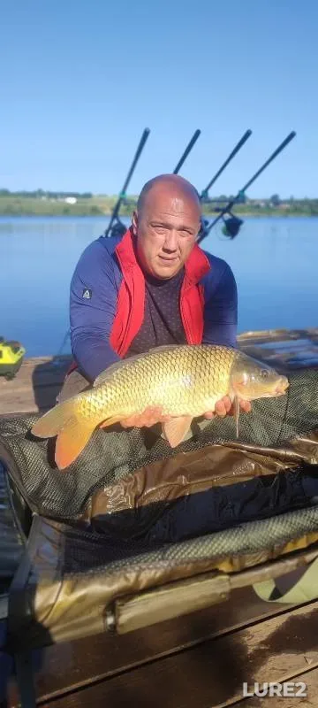 Carp — Kurskaya oblast, Jul 09, 2024