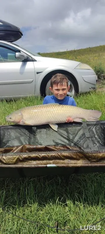 Carp — Kurskaya oblast, Jul 21, 2024