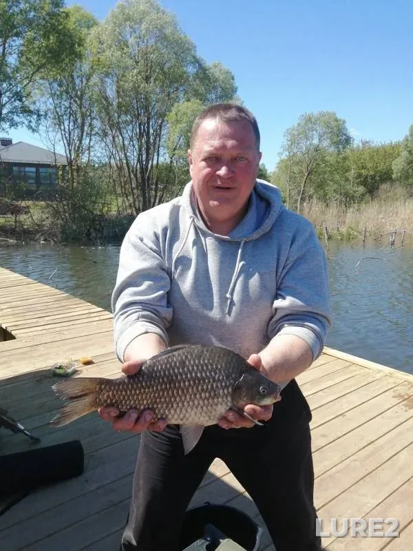 Carp, Crucian carp — Brezhnevo, May 04, 2024