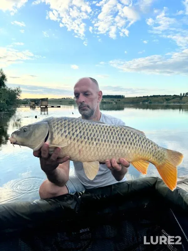 Carp — Brezhnevo, Aug 06, 2024