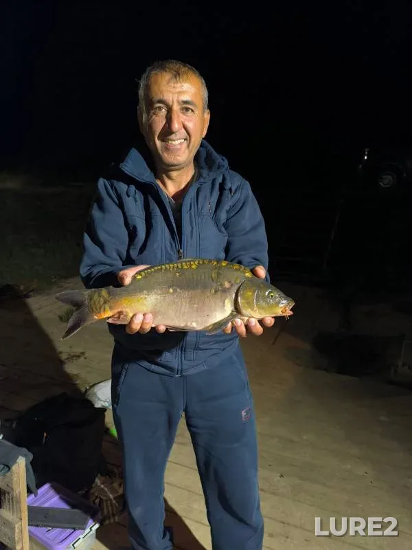 Carp — Brezhnevo, Aug 07, 2024