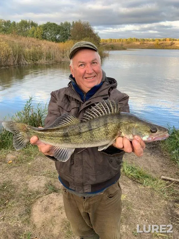 Zander — Kurskaya oblast, Oct 24, 2024