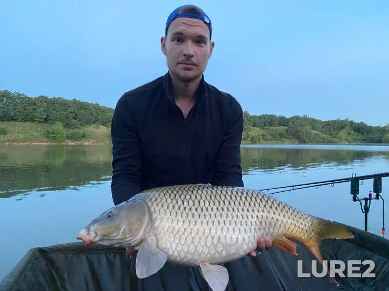 Carp — Belgorodskaya oblast, Aug 09, 2022
