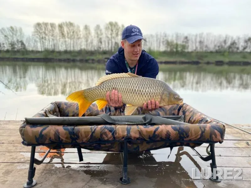 Carp — Belgorodskaya oblast, Apr 27, 2023