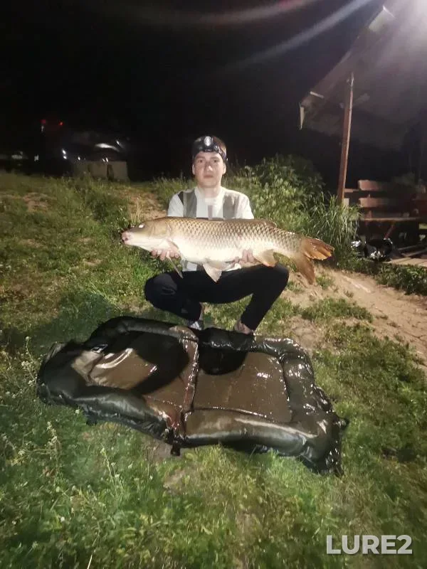 Carp — Belgorodskaya oblast, May 22, 2023
