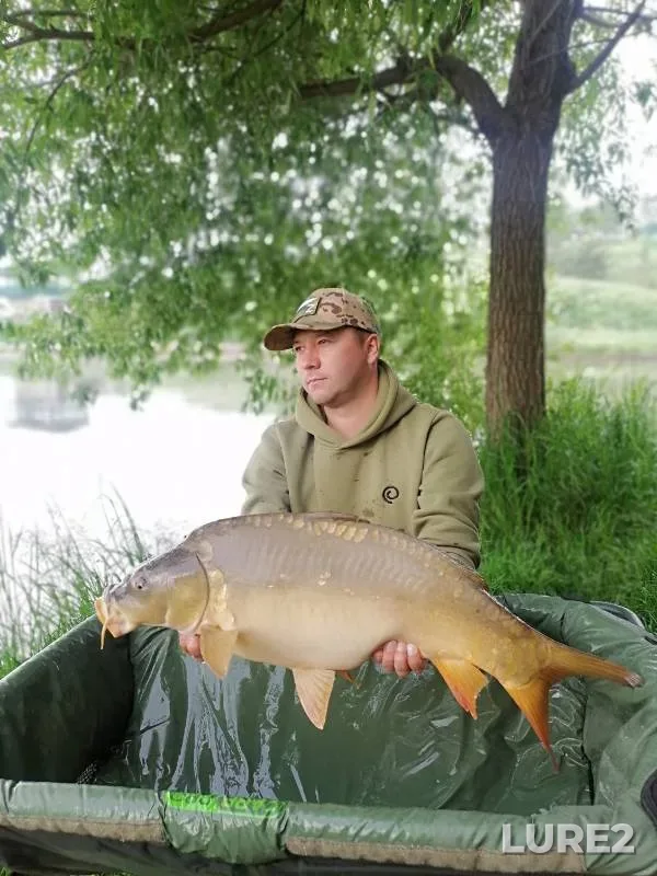 Carp — Belgorodskaya oblast, May 26, 2023