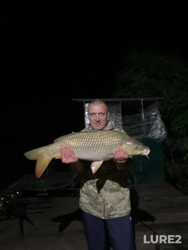 Carp — Belgorodskaya oblast, Jun 12, 2023
