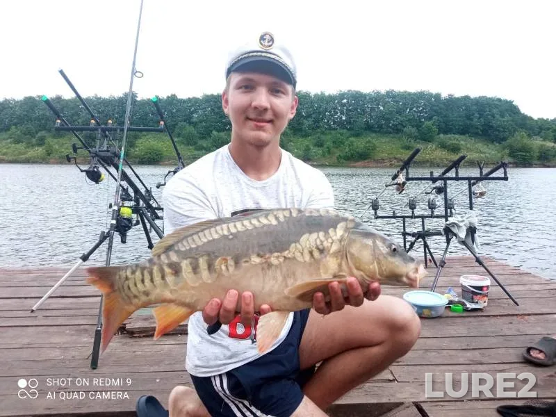 Carp — Belgorodskaya oblast, Jul 11, 2023