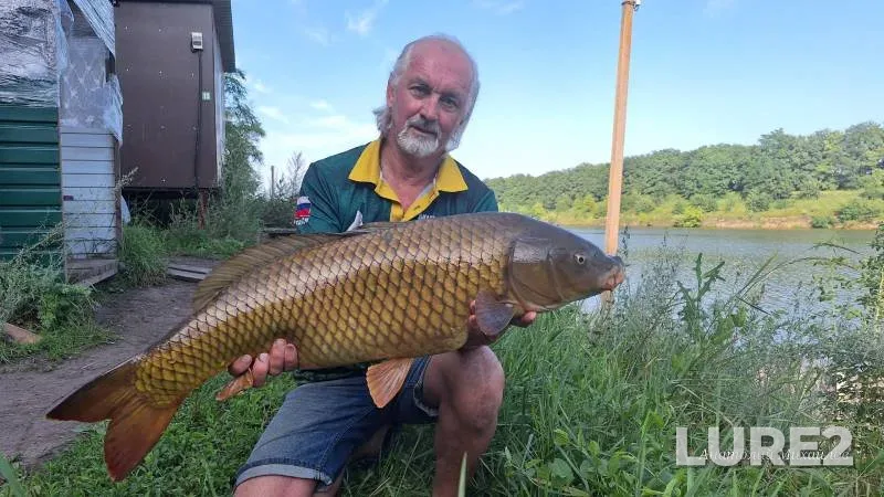 Carp — Belgorodskaya oblast, Jul 27, 2023