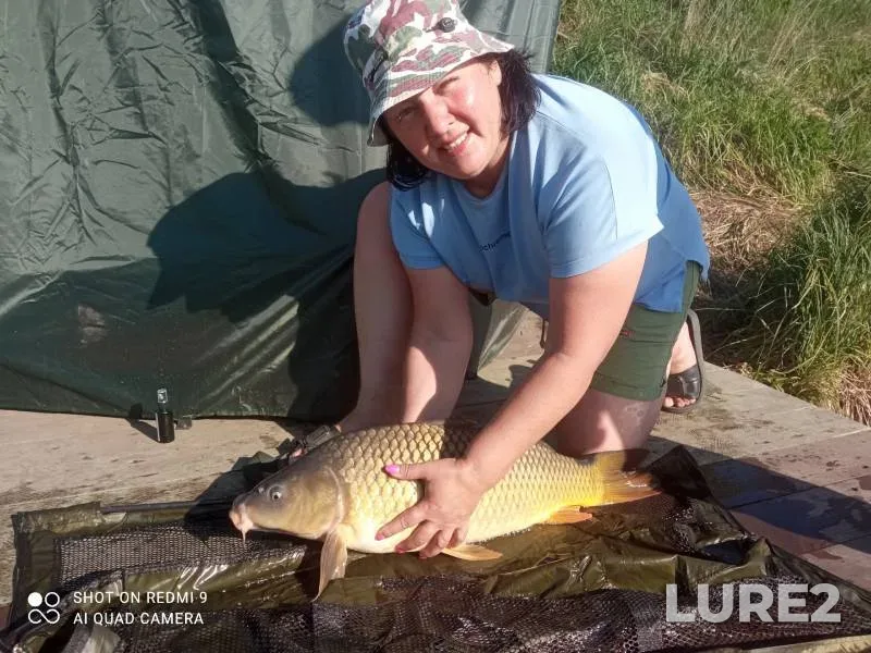 Carp — Belgorodskaya oblast, May 03, 2024