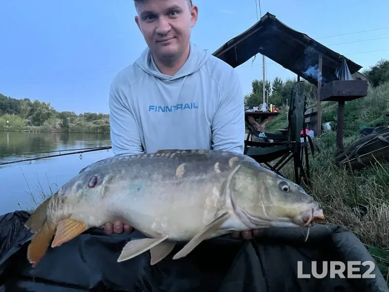 Carp — Belgorodskaya oblast, Jul 24, 2024