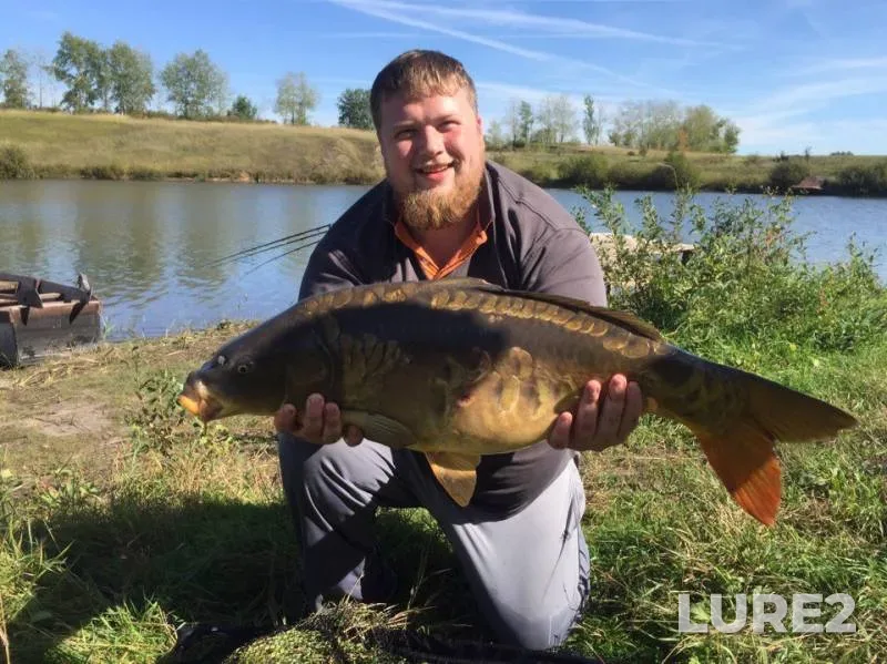 Carp — Lipetskaya oblast, Sep 19, 2017