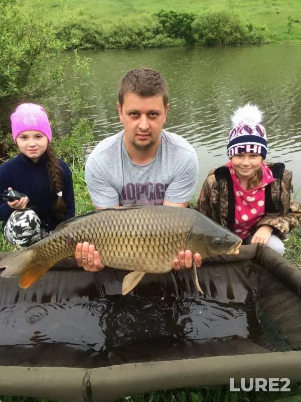 Carp — Lipetskaya oblast, May 20, 2018