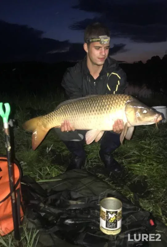 Carp — Bryanskaya oblast, Mar 30, 2019