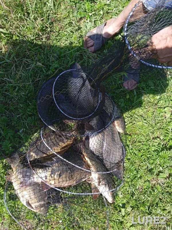 Carp — Bolshakovskiy, Jul 11, 2021