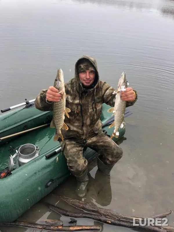Pike — Lipetskaya oblast, Nov 04, 2024