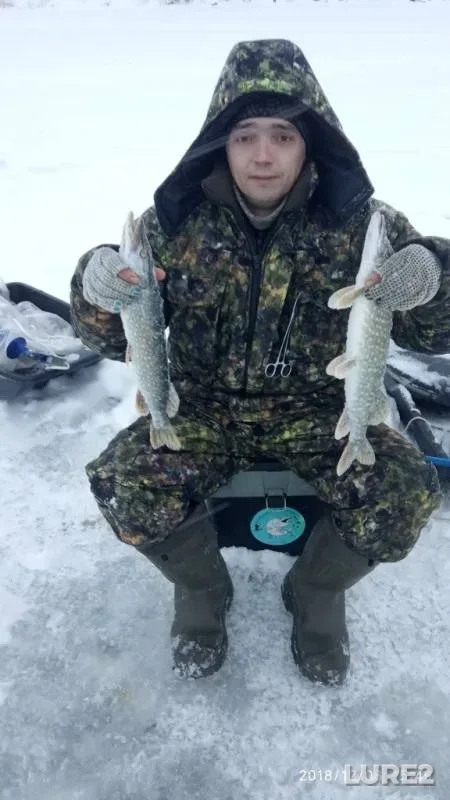Pike — Lysvenskiy, Dec 08, 2018