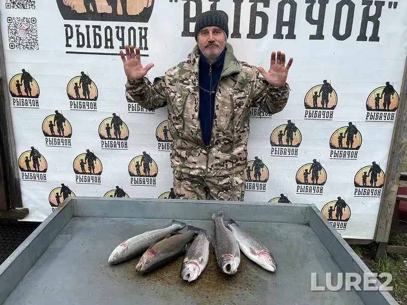 Rainbow trout — Kobylenka, Oct 15, 2024