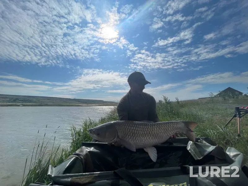 Carp — Razliv, May 22, 2022