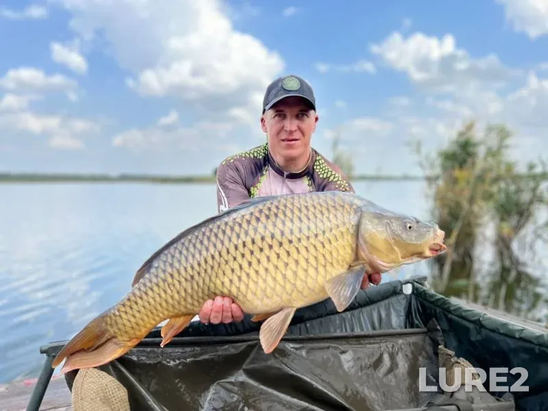 Carp — Sukhaya Chelbaska, Aug 28, 2022