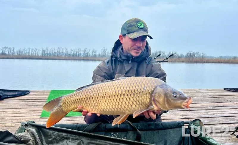 Carp, Crucian carp — Sportivno-rybolovnyy vodoyem "Kanevskoy", Mar 26, 2023