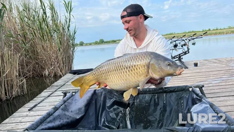 Carp — Sportivno-rybolovnyy vodoyem "Kanevskoy", Jun 08, 2023
