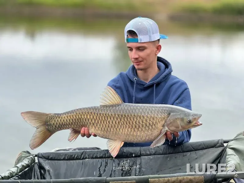 Carp — Barsuchki, Sep 04, 2023