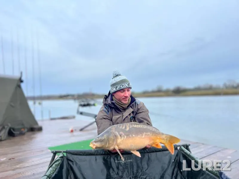 Carp — Beysuzhek, Nov 19, 2023