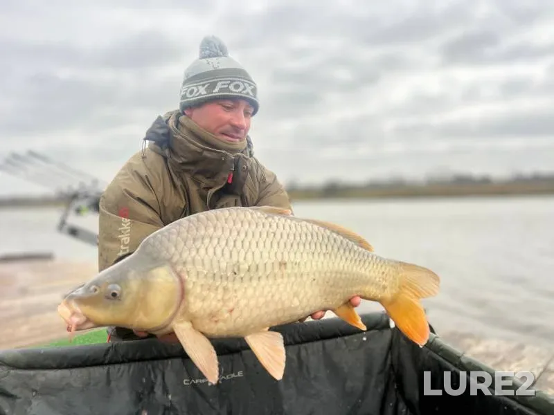 Carp — Krasnodarskiy kray, Vyselkovskiy rayon, Feb 19, 2024