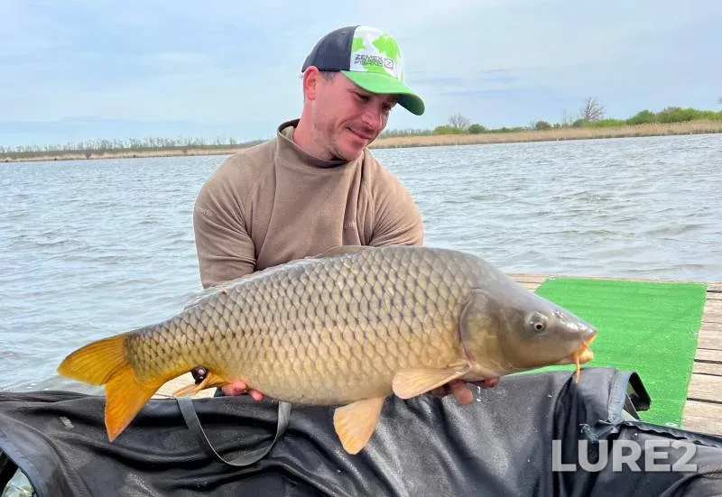 Carp — Sportivno-rybolovnyy vodoyem "Kanevskoy", Apr 20, 2024