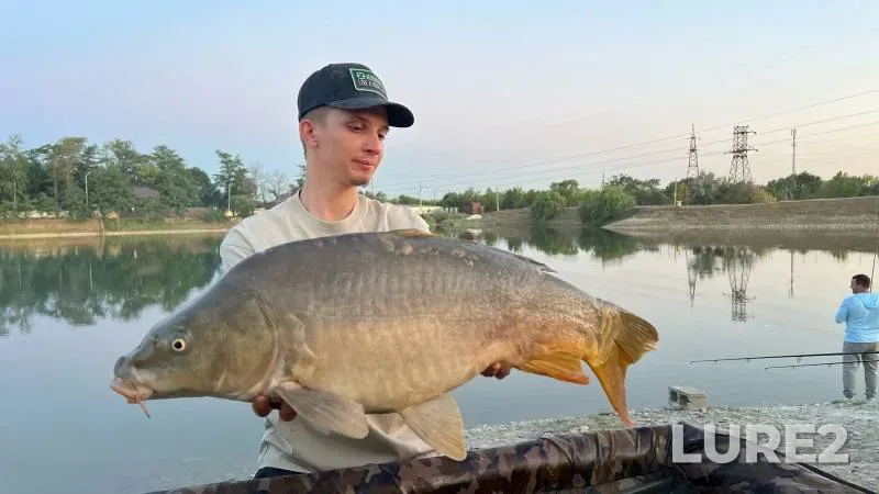Carp — Barsuchki, Jul 30, 2024