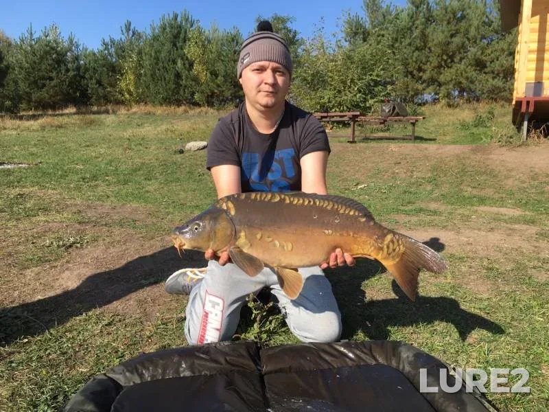 Carp — Belgorodskaya oblast, Sep 29, 2019