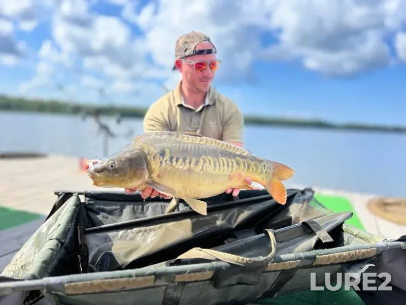 Carp — 9 (Borisov prud), Aug 09, 2024