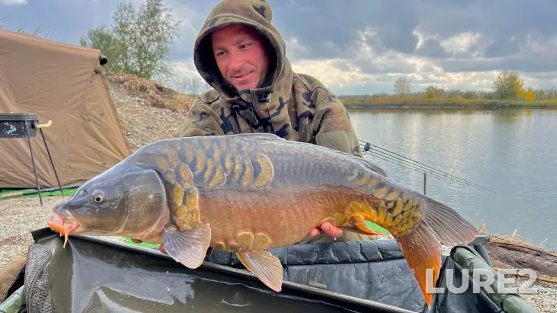 Carp — Stavropolskiy kray, Oct 19, 2024