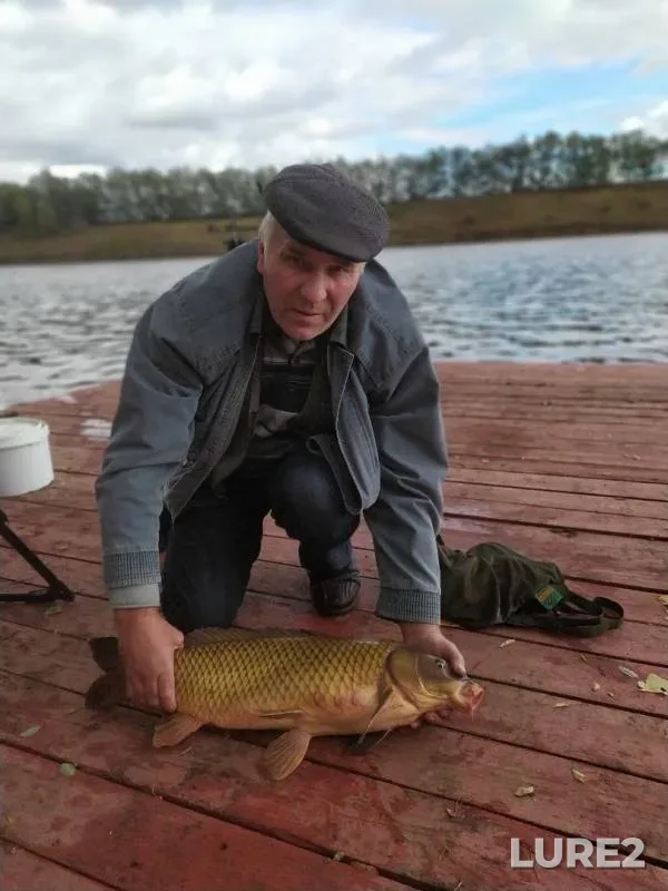Carp — Belgorodskaya oblast, Sep 22, 2019