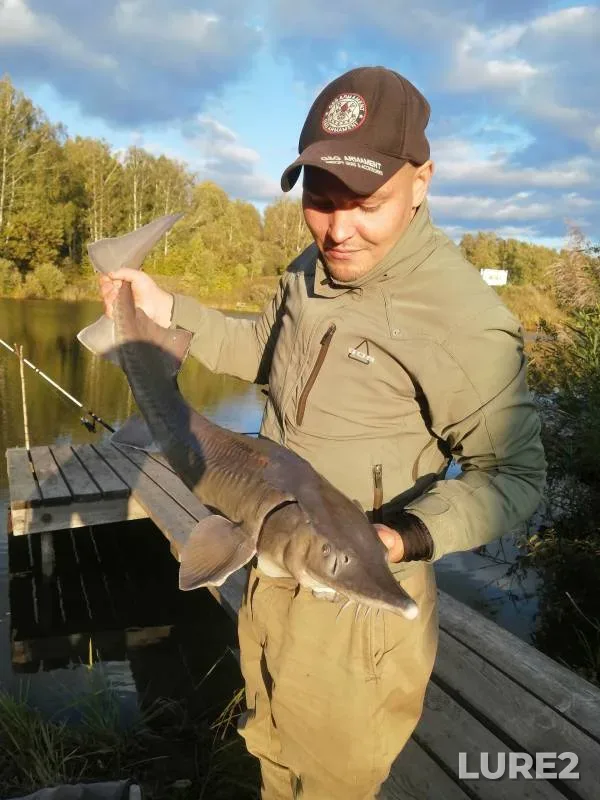 Carp — Nizhegorodskaya oblast, Pavlovskiy munitsipalnyy okrug, Sep 22, 2022