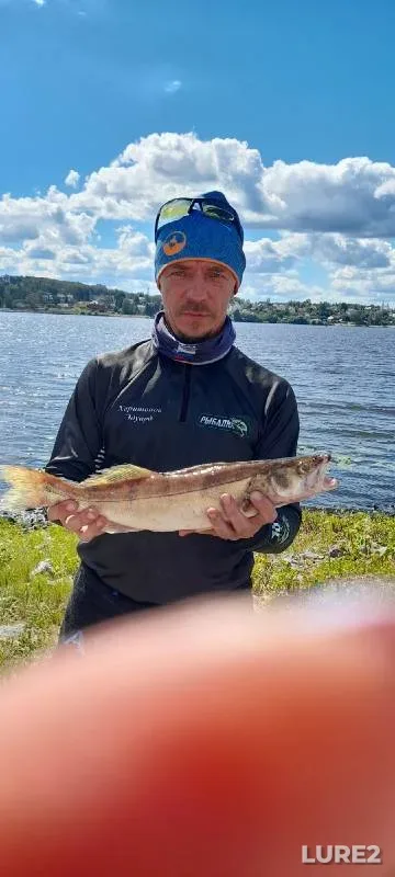 Bream, Zander — Volga, Jul 31, 2022