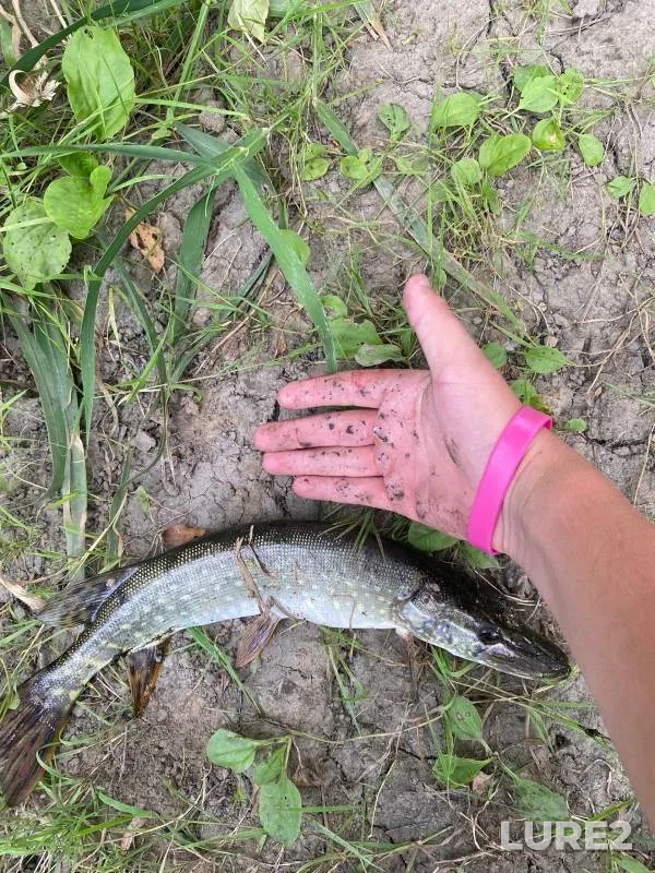 Pike — Tom, Aug 28, 2024