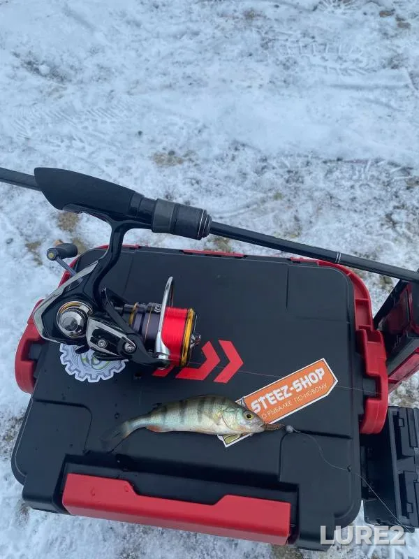 Perch — Razdolnoye, Nov 09, 2023