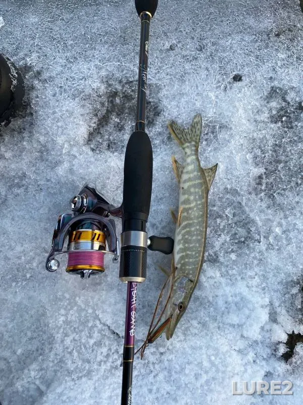 Pike, Zander — Ob, Nov 11, 2023