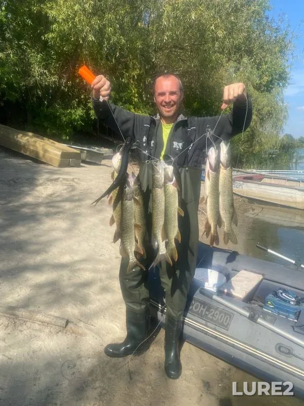 Pike — Don, Sep 21, 2024