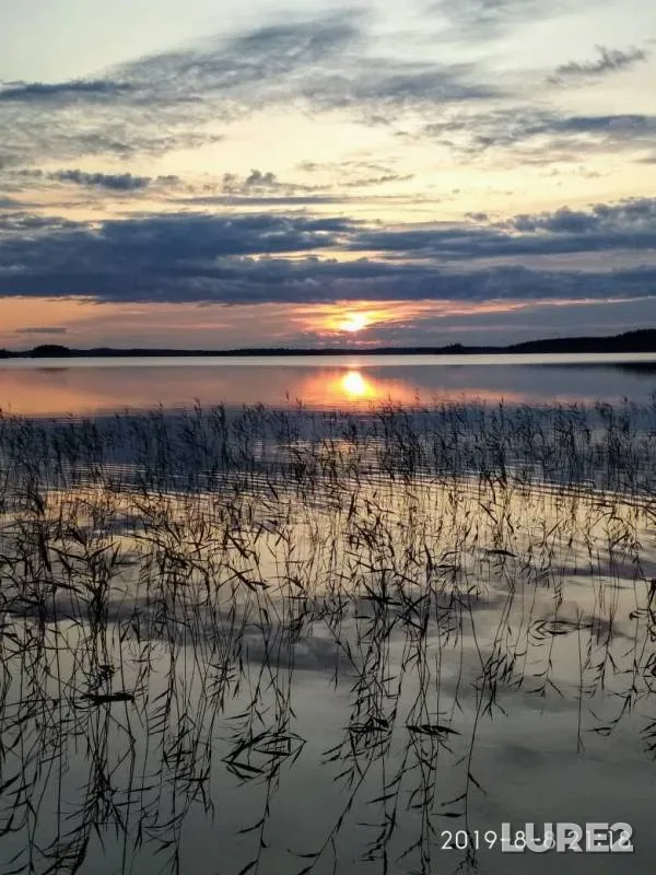 Perch, Pike — Leksozero, Aug 19, 2019