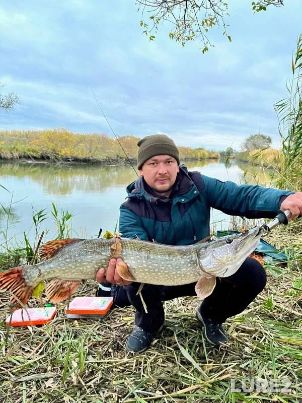 Pike — Rostovskaya oblast, Oct 19, 2024